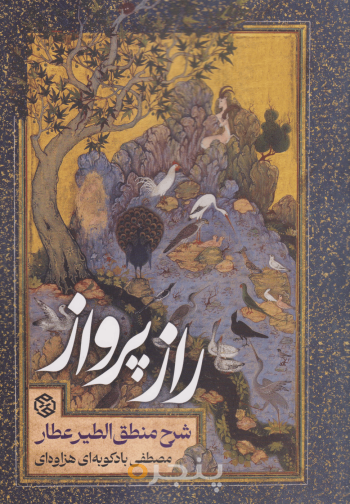 راز پرواز 