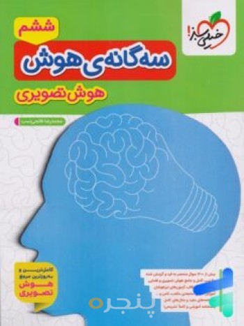 سه گانه هوش تصویری